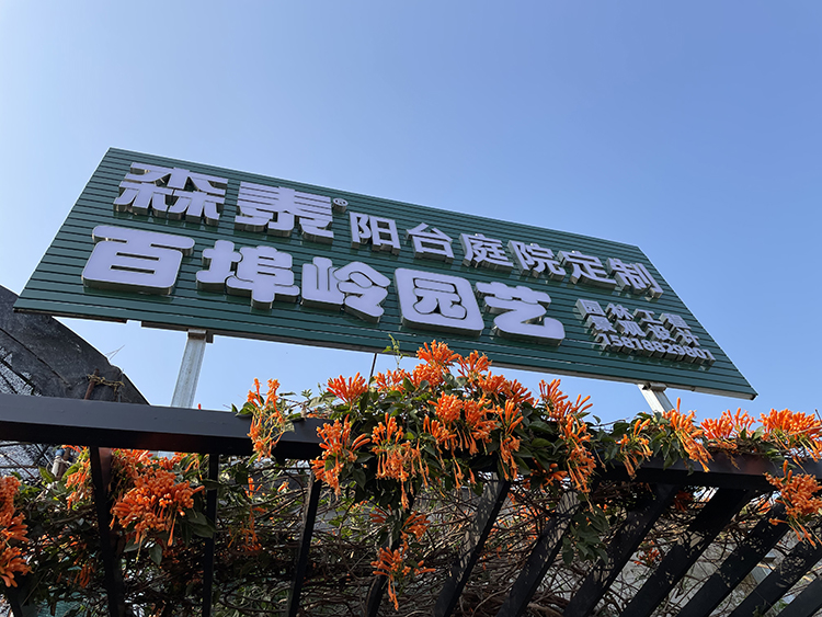 ʱ- ǲ!