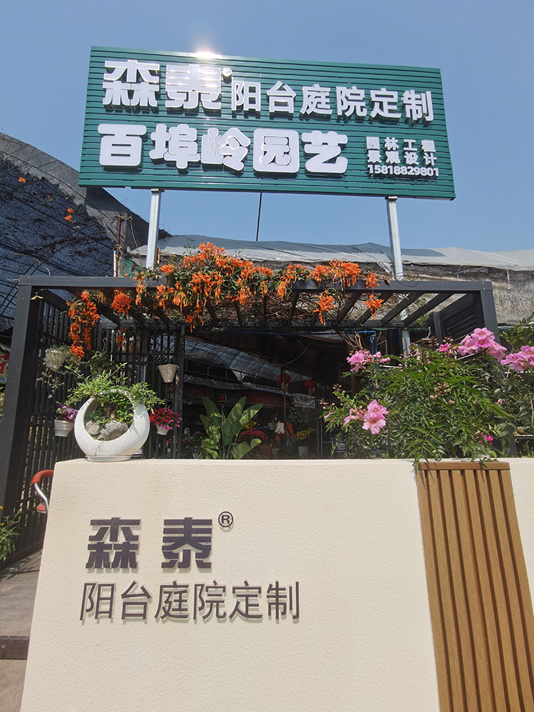 ʱ- ǲ!