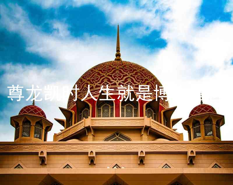 尊龙凯时人生就是博中国区